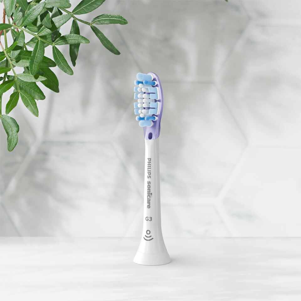 G3 BrushHead