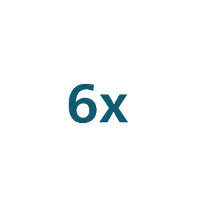 6x Icon