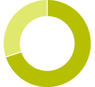 Pie chart - 69%