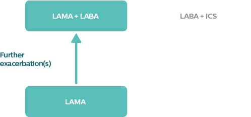 Chapter 4: Group C