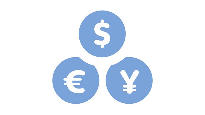 Currency icon