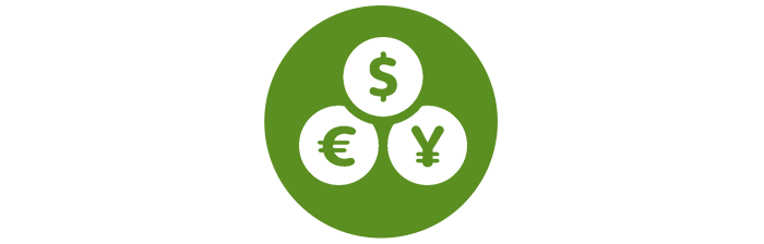 Financial solutions icon