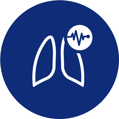 Auto track icon