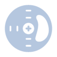 IVUS guidance icon