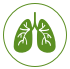 Lung image