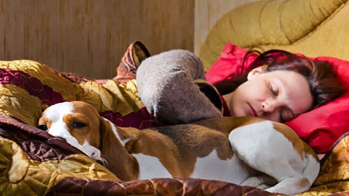 Is fido making it hard to sleep?