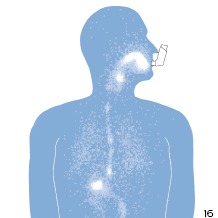 By using an Asthma Inhaler only, medicine can end up in the mouth, throat and stomach which may cause side effects