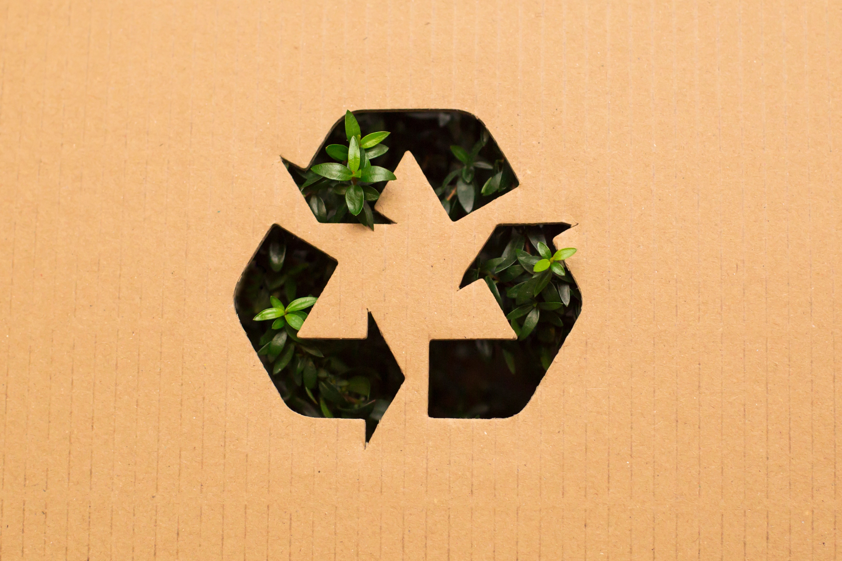 sustainable eco friendy monitors range