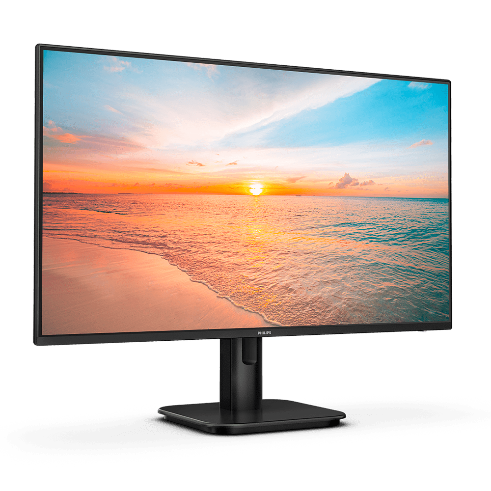 Full HD LCD monitor - 24E1N1300A
