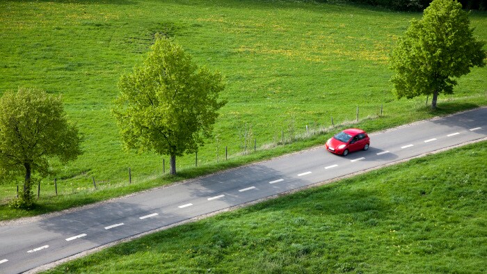 road forest