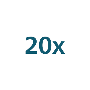 20x Icon