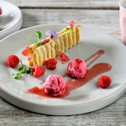 Raspberry yogurt ice cream | Philips Chef Recipes