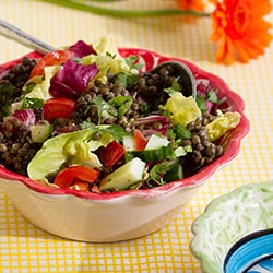 Lentil salad | Philips Chef Recipes