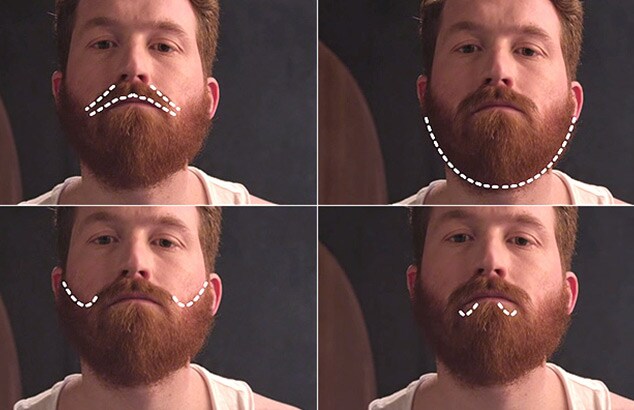 Define beard shape