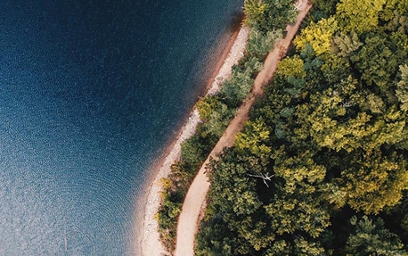 A banner with an aerial view of tree-tops and the ocean to introduce Philips’ sustainability plans