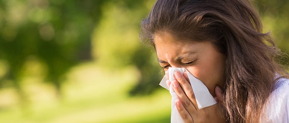 Allergens at home - Pollen types and when they occur