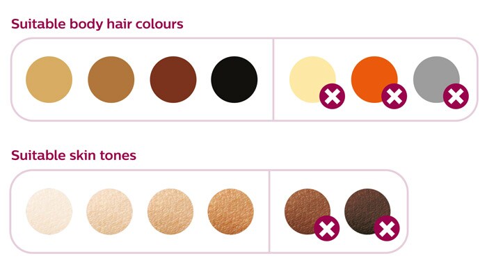 Colors Infographic