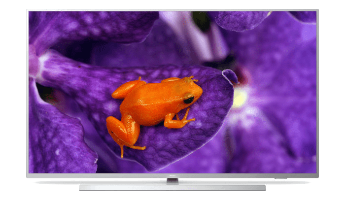 Pro Tv Homepage Image Min