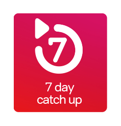 7 day