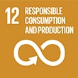 12 responsible consumption and production