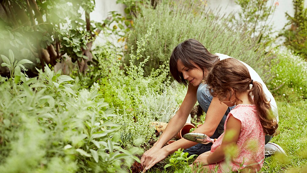 A mother and her child attending to nature